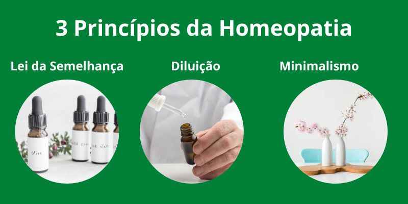 Quais são os 3 Princípios da Homeopatia